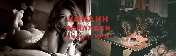 прущие крисы Бородино