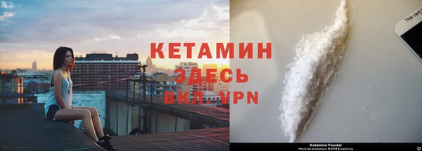 прущие крисы Бородино