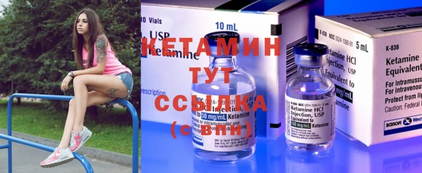 прущие крисы Бородино
