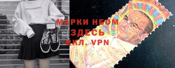 прущие крисы Бородино