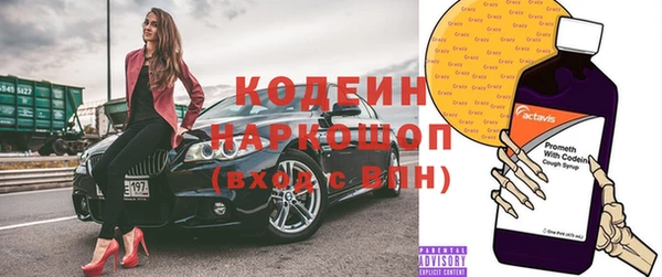 прущие крисы Бородино