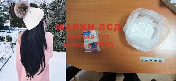 прущие крисы Бородино