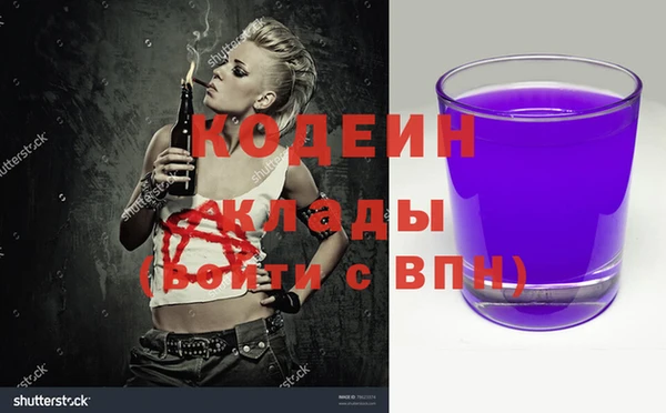 прущие крисы Бородино