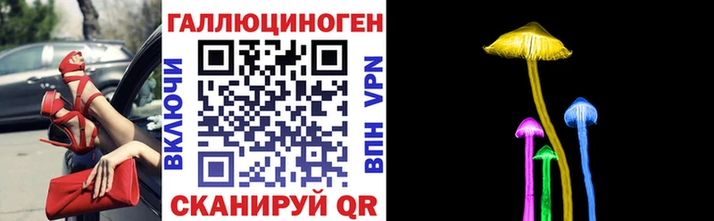 Галлюциногенные грибы Psilocybine cubensis Волжский